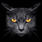 Profile Picture of Azzeddine Benchikh Lehocine (@azzeddine ben photography) on Flickr