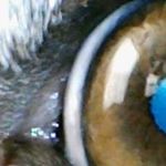 Profile Picture of Jeffrey Pryor (@hecklerxx) on Instagram