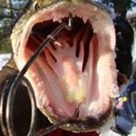 Profile Picture of Catherine S. Browers (@cathy_browers) on Instagram