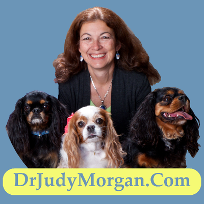 Profile Picture of Judy Morgan (@integratedpets) on Twitter