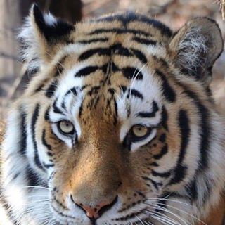 Profile Picture of Janette Cain (@janette.cain.754) on Facebook