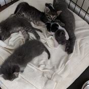 Profile Picture of Rhea Moore (@rheamoore1505) on Youtube