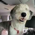 Profile Picture of Denise Grant Emerson (@neener1966) on Instagram