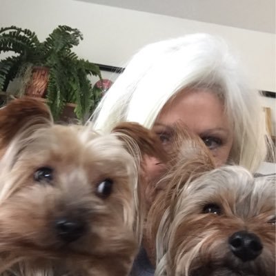 Profile Picture of Kathy Haller (@lkat711hy) on Twitter