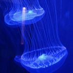 Profile Picture of Devon Fritz (@skazzaks) on Instagram