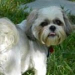 Profile Picture of Nancy Hunt (@grannynanny22) on Instagram