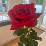 Profile Picture of Tamra Josephson (@tamra.josephson) on Facebook