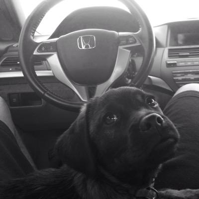 Profile Picture of Justin (@Brouillette_1) on Twitter