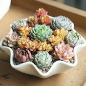 Profile Picture of Annie Nguyen (@raycinhonda) on Youtube