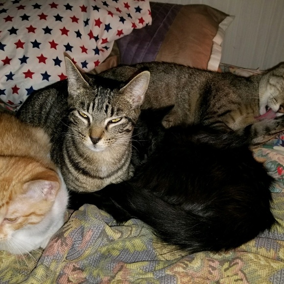 Profile Picture of Edna Casey (@chesterwalden) on Poshmark