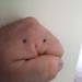 Profile Picture of Alex Pavao (@fastvmax1) on Pinterest