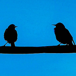 Profile Picture of Chris GES (@Cris Namaste) on Flickr