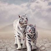 Shyla King - Youtube Profile Picture of Shyla King (@blessmonet2) on Youtube