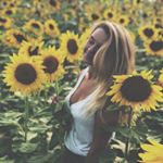 Profile Picture of Heather Casey (@heather__casey) on Instagram