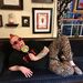 Profile Picture of David Boyer (@dboyer7827) on Pinterest