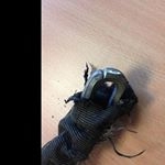 Profile Picture of pauline_steeves5 (@pauline_steeves5) on Instagram