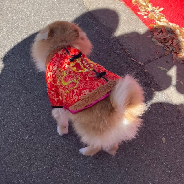 Profile Picture of TD (@.troydo) on Tiktok