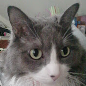 Ron Blommel - Youtube Profile Picture of Ron Blommel (@Ron4759) on Youtube