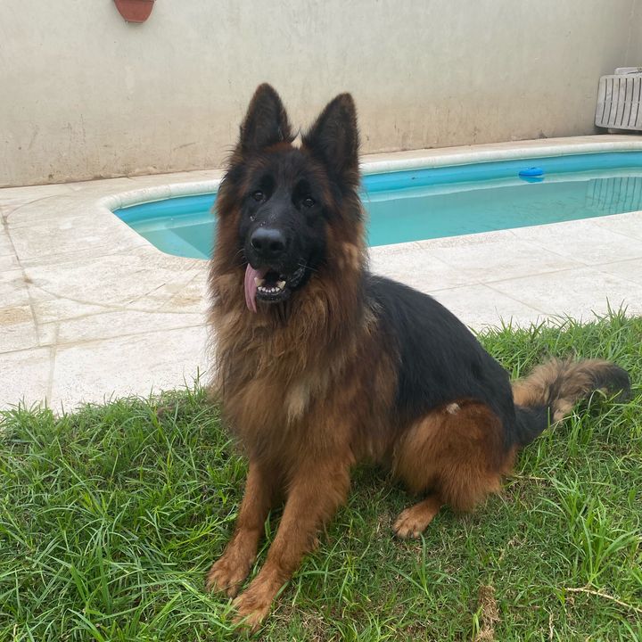 Profile Picture of Hansss (@hans24.ok) on Tiktok