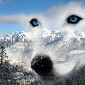 Profile Picture of Tanya Hebert (@TanyaHebert15) on Twitter