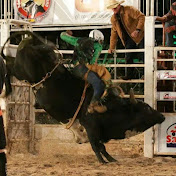 Profile Picture of Richard Vasques (@richardvasques75) on Youtube