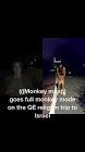 Profile Picture of   Monkey Archive... (@monkeyarchive) on Tiktok