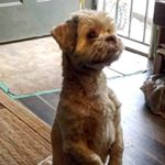 Profile Picture of Keith Gorski (@keith_kag) on Instagram