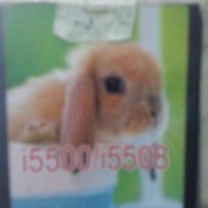 Profile Picture of David Careaga (@deyfiel27) on Twitter