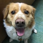 Profile Picture of John Ledel (@ledelgroup) on Instagram