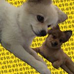 Profile Picture of BOBBY&NOEL (@bobbyandnoel01) on Instagram