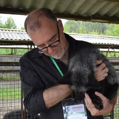 Profile Picture of P. David Polly (@pdavidpolly) on Twitter