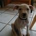 Profile Picture of Scott Kiraly (@scott.kiraly.9) on Facebook