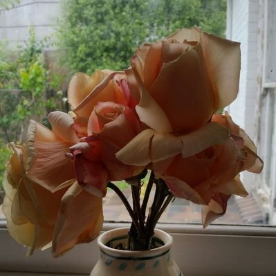 Profile Picture of Joel Antoine (@JoelZozoants) on Twitter