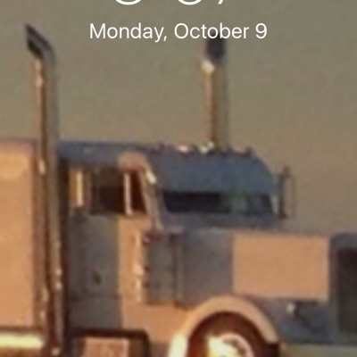 Profile Picture of scout spraggins (@cccxxxxxccxc) on Tiktok