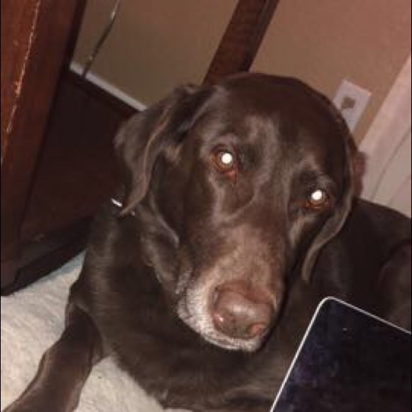 Profile Picture of Emily Schwake (@emilyschwake) on Poshmark