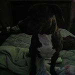 Profile Picture of Chris (@doblerchristopher) on Instagram