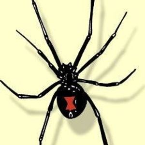 Profile Picture of Ben Shattuck (@429064732) on Myspace