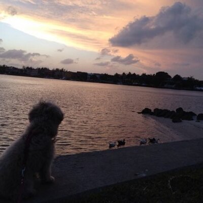 Profile Picture of Kaley Hoffman (@kaleyhoffman) on Twitter