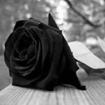 Profile Picture of Bianca Valladares (@biancavalladares) on Instagram