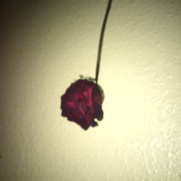 Profile Picture of Brenda Jimenez (@brendaarj) on Poshmark