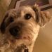 Profile Picture of Toby GinsbergRubenstein (@toby.ginsbergrubenstein) on Facebook