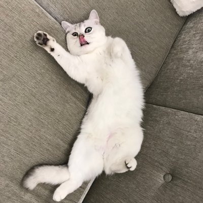 Profile Picture of Janice Hsu (@JaniceHsu3) on Twitter