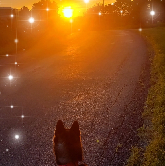 Profile Picture of Brandi Santmyers (@bsantmyers) on Poshmark