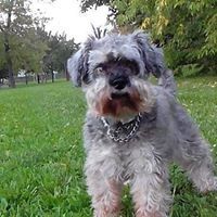 Profile Picture of Michael Gless (@michaelgless) on Pinterest