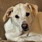 Profile Picture of Danielle Nester (@Danielle-Nester) on Facebook