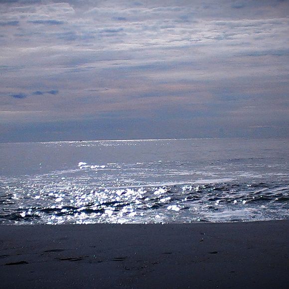 Profile Picture of Olivia Brader (@livylove89) on Poshmark