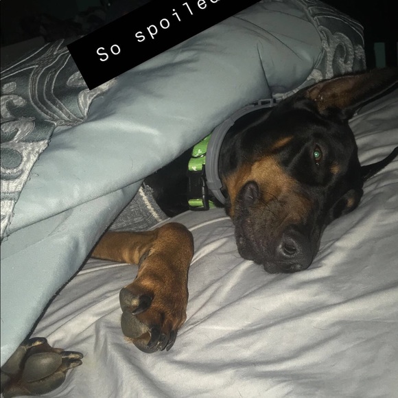 Profile Picture of Genasis Horton (@gghorton01) on Poshmark