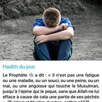 Profile Picture of Jihad ElHaddad Prs (@Jihad-El-Haddad-Prs) on Facebook