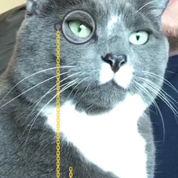 Profile Picture of Megan Finnestad (@finne197) on Poshmark