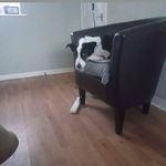 Profile Picture of Kyle Hutchings (@kyle.hutchings.714) on Instagram